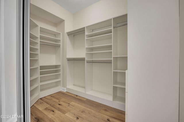 spacious closet with light hardwood / wood-style floors