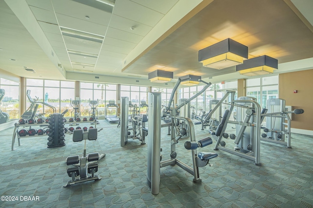 workout area featuring a wealth of natural light, floor to ceiling windows, and carpet