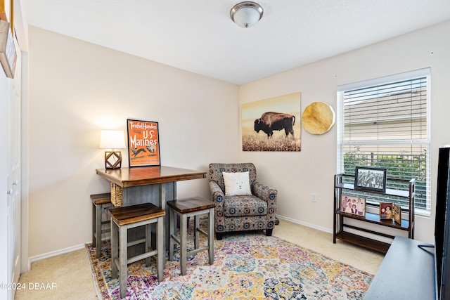 living area featuring light colored carpet