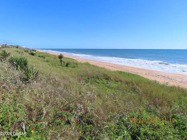 view of water feature featuring a beach view