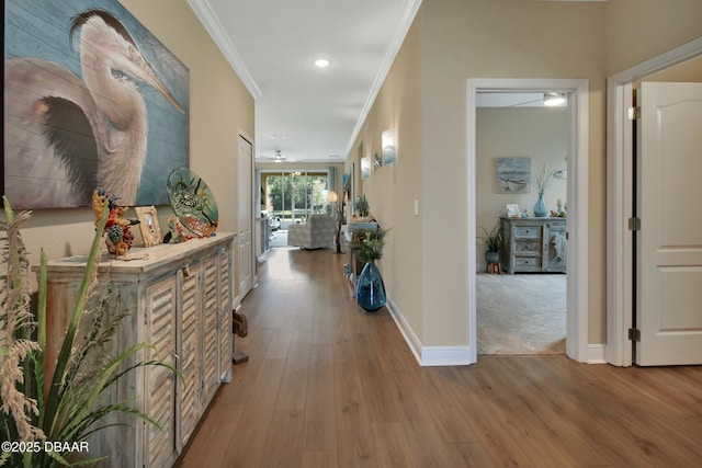 31 Fawn Haven Trl, Ormond Beach, FL 32174 - photo 2