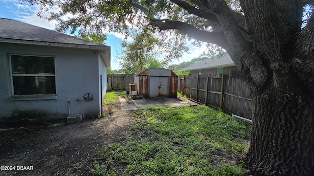 view of yard featuring a patio and a shed