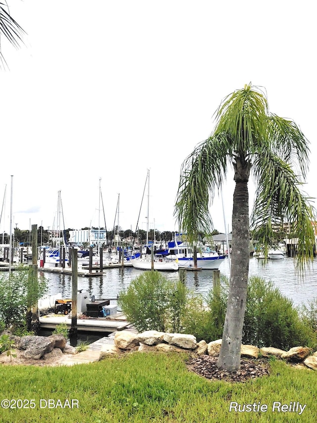 dock area with a water view