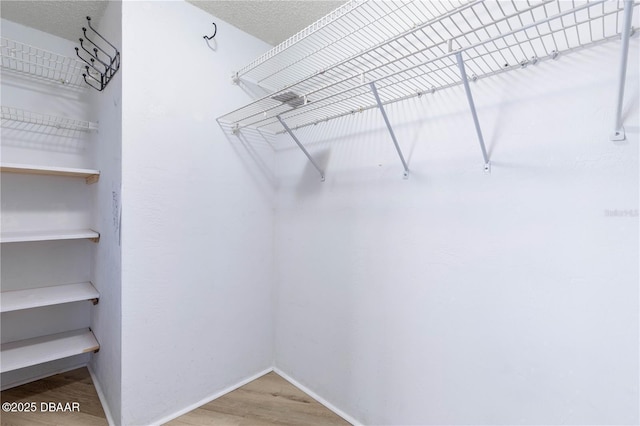 spacious closet featuring hardwood / wood-style floors