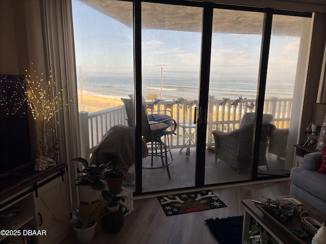 doorway with expansive windows, wood-type flooring, a water view, and a beach view