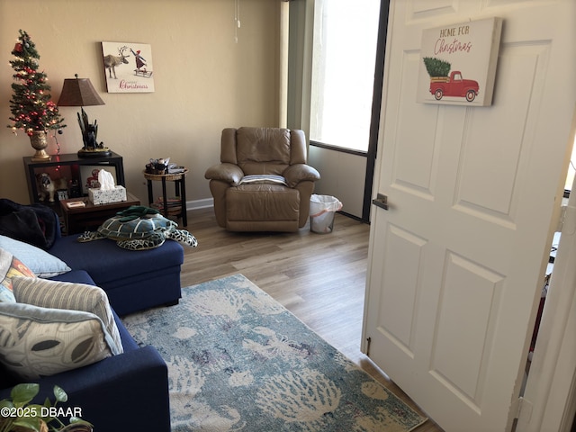 living room with light hardwood / wood-style flooring