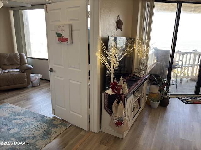 entrance foyer with light hardwood / wood-style flooring