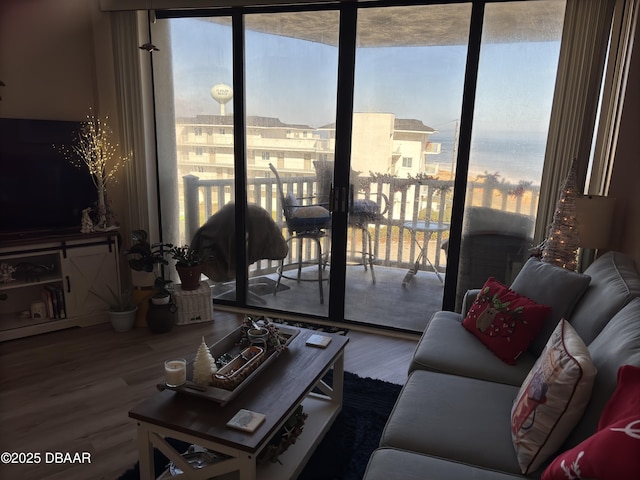 living room featuring hardwood / wood-style flooring, expansive windows, and a wealth of natural light