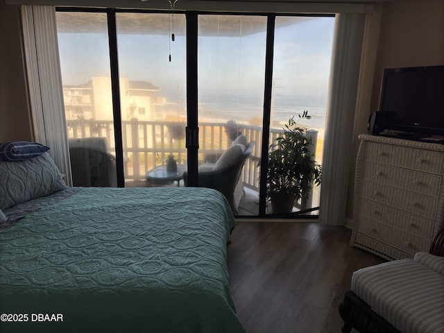 bedroom featuring multiple windows and wood-type flooring