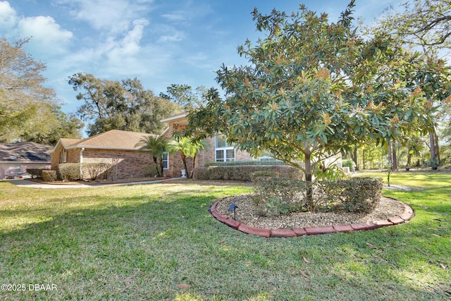 obstructed view of property with a front lawn