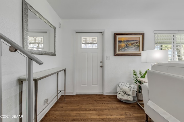 foyer entrance featuring dark hardwood / wood-style floors and plenty of natural light