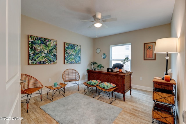 office space featuring light hardwood / wood-style floors and ceiling fan