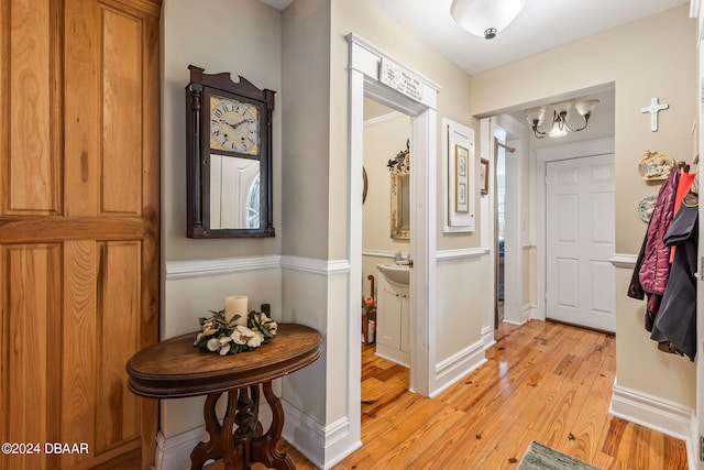 foyer with sink and light hardwood / wood-style floors