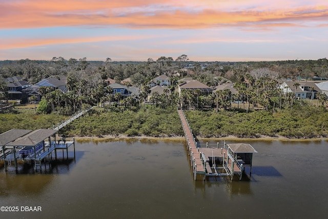 dock area with a water view