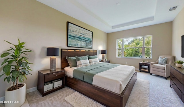 carpeted bedroom with a tray ceiling