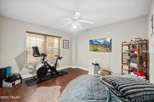 workout area with ceiling fan and dark wood-type flooring