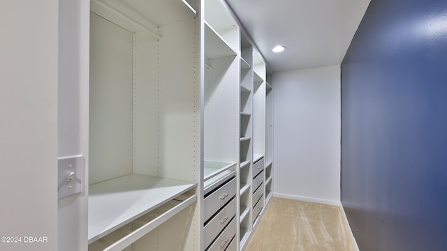 walk in closet featuring light carpet