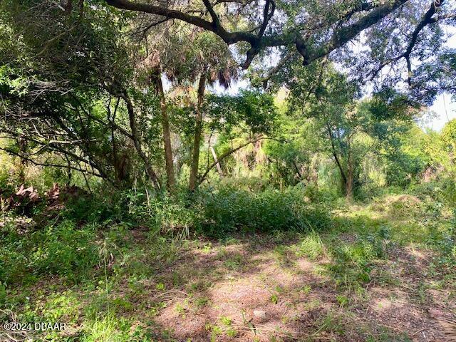 Listing photo 2 for 202 2nd St, Holly Hill FL 32117