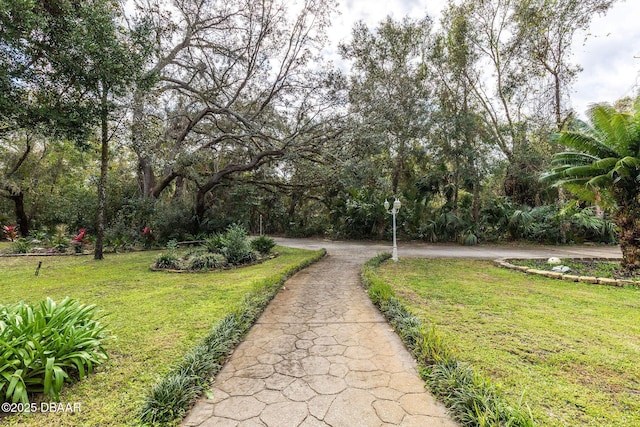 view of home's community with a lawn