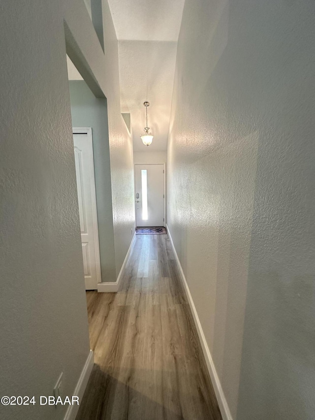 1021 Alabama Ave, Holly Hill, FL 32117 - hall featuring wood finished floors, a textured wall, and baseboards