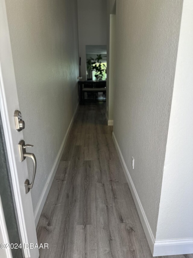 1021 Alabama Ave, Holly Hill, FL 32117 - corridor with wood finished floors and a textured wall