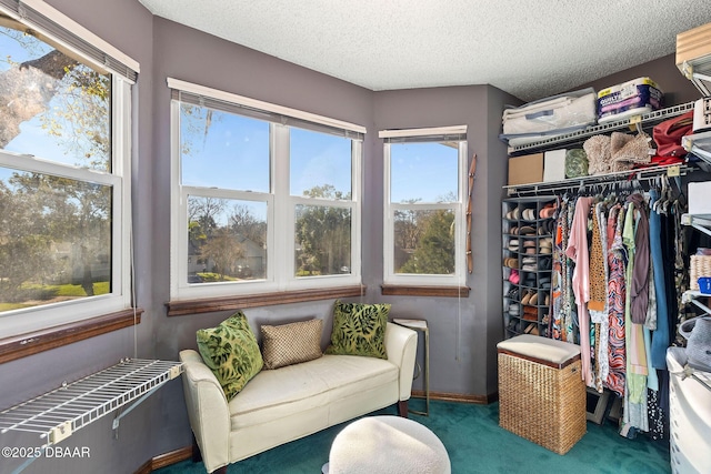 spacious closet with carpet flooring