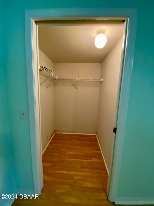 walk in closet featuring wood-type flooring