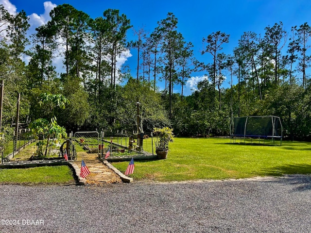 view of home's community featuring a yard and a trampoline