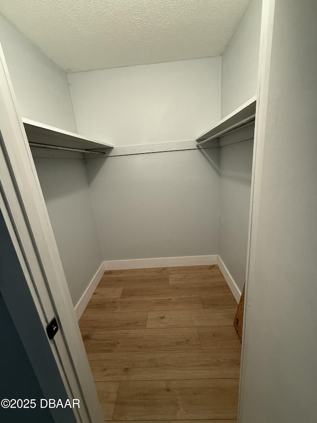 walk in closet featuring wood finished floors