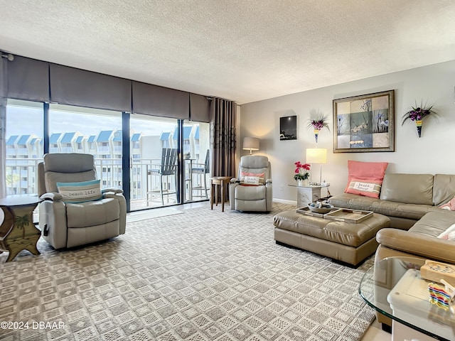 living room with a textured ceiling