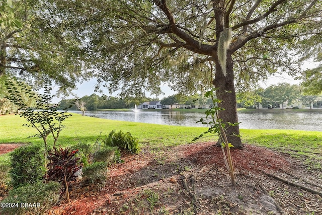 view of yard with a water view