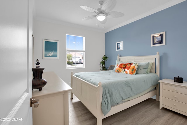 551 Margaritaville Ave, Daytona Beach, FL 32124 - photo 27