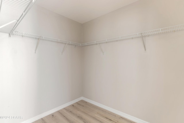 walk in closet featuring hardwood / wood-style flooring