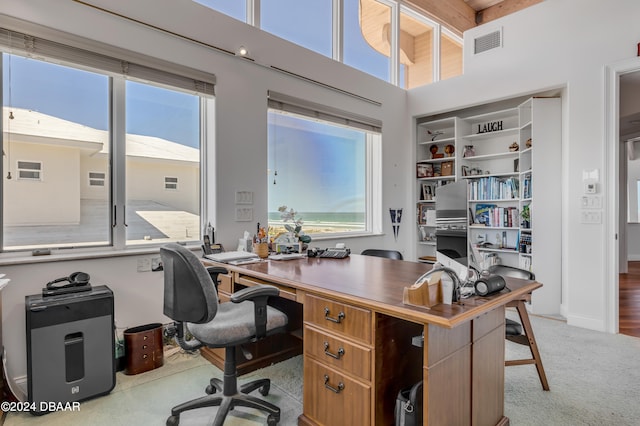 office area with a wealth of natural light, a high ceiling, and light carpet