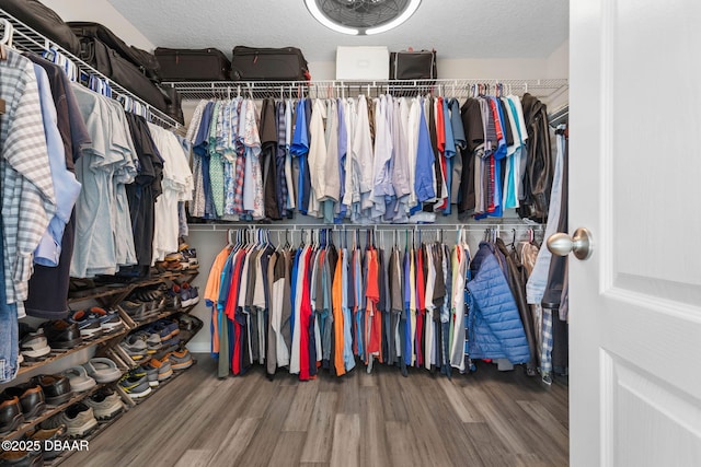 spacious closet with wood finished floors