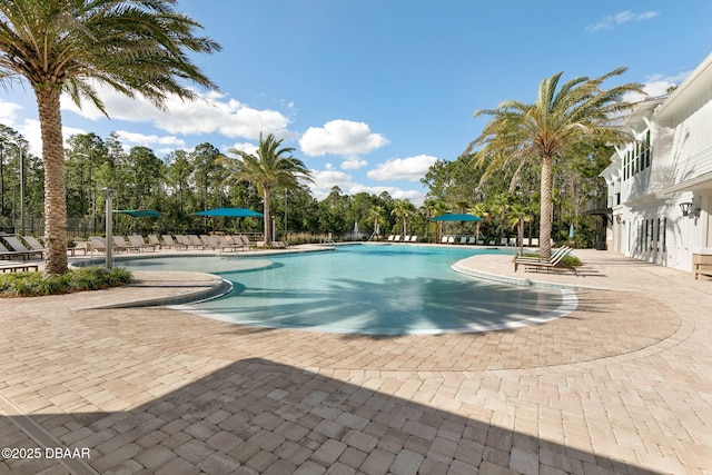 community pool featuring a patio