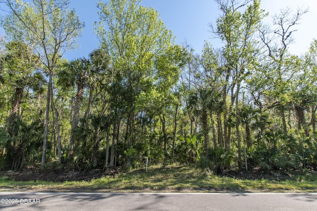 0 Old Mission Rd, Edgewater FL, 32132 land for sale