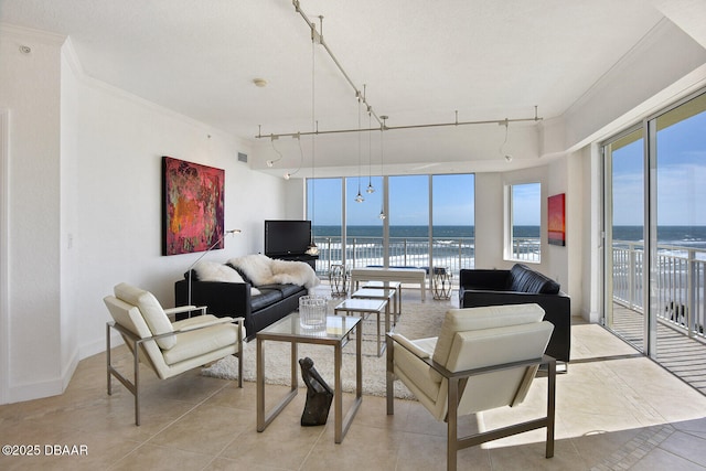 living room featuring crown molding, rail lighting, baseboards, and a wealth of natural light