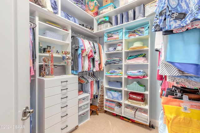spacious closet featuring carpet flooring