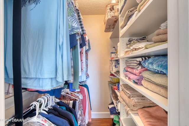 walk in closet featuring wood-type flooring