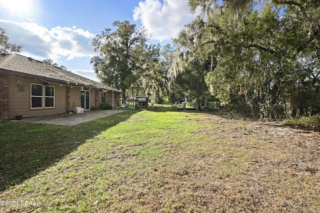 view of yard featuring a patio area