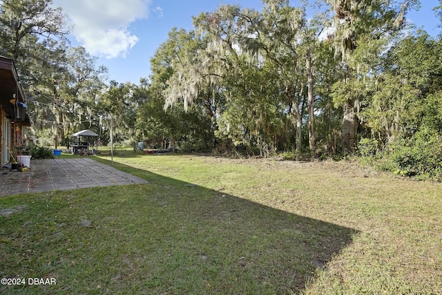 view of yard featuring a patio area