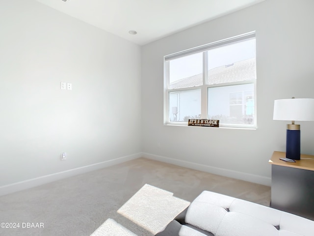 interior space featuring light colored carpet