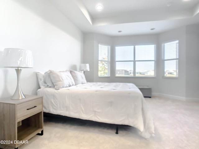 bedroom featuring a tray ceiling and carpet floors