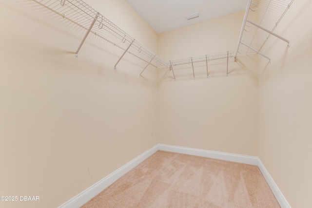 spacious closet featuring light colored carpet