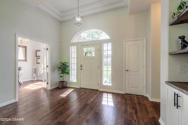 foyer entrance with dark hardwood / wood-style flooring and a high ceiling