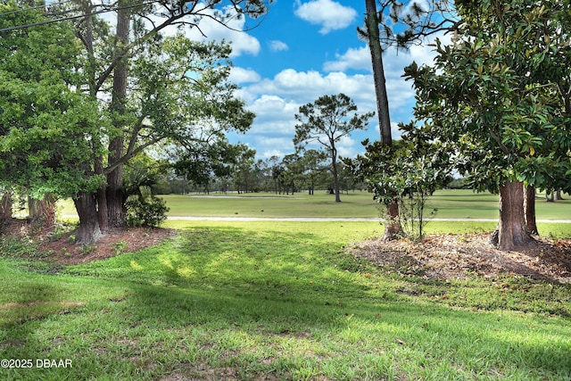 550 Eagle Dr, Holly Hill, FL 32117 - view of grassy yard