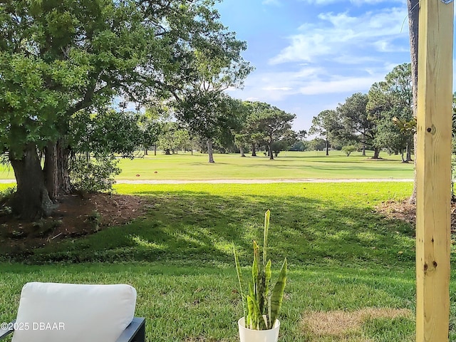 550 Eagle Dr, Holly Hill, FL 32117 - view of green lawn