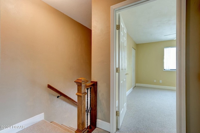 corridor featuring light colored carpet