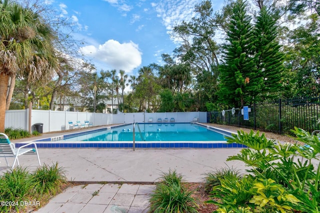 view of swimming pool featuring a patio